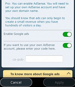 Is f&eacute;idir leat do Google Ads f&eacute;in a ghn&iacute;omhacht&uacute; ar do shu&iacute;omh Pro.